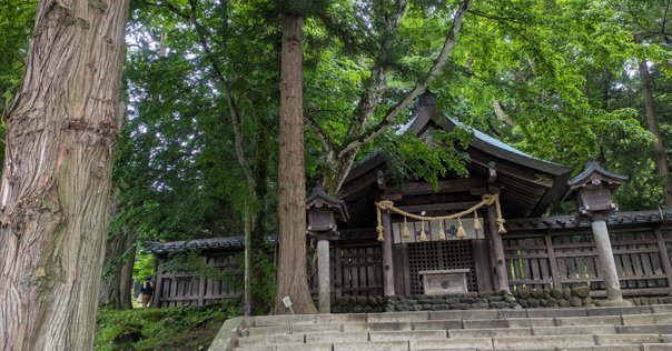 模倣犯』宮部みゆきさん 『白夜行』東野圭吾さん 『告白』湊