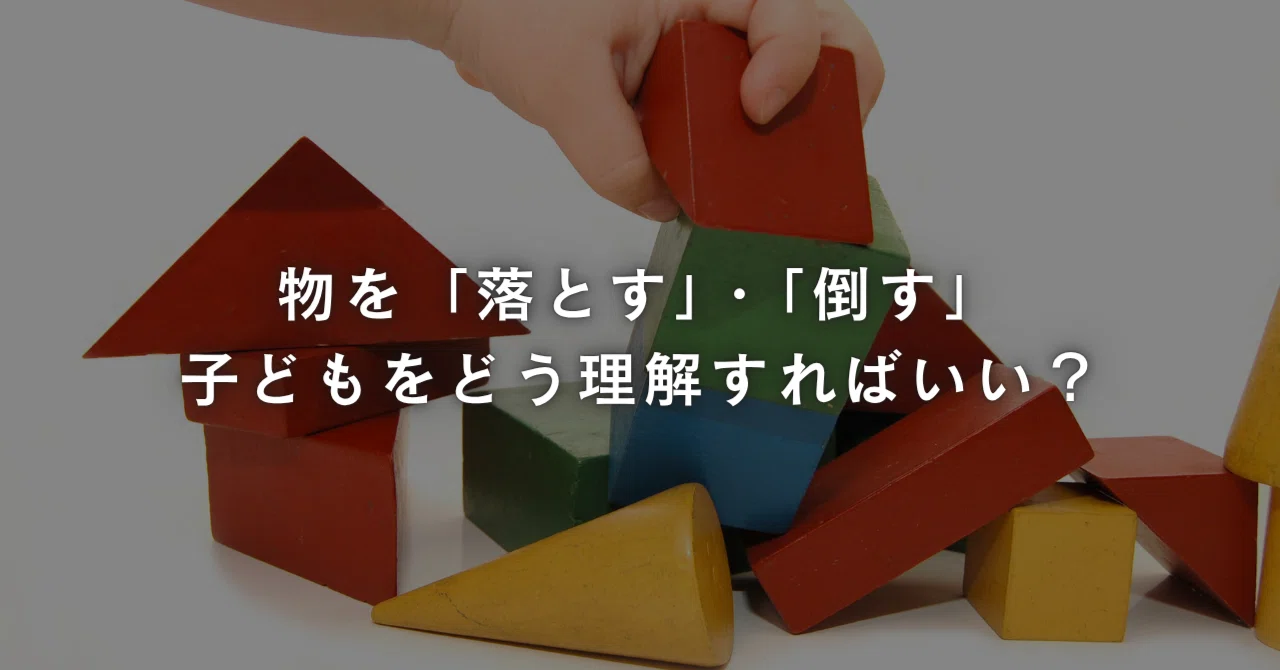 How should we understand children who 'drop' or 'knock over' things?｜加藤 ...
