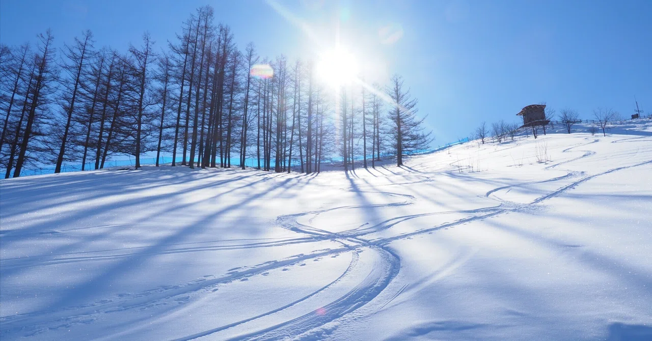 日本で楽しむ冬の魔法—2025-2026シーズンのスキー場ガイド：Experience Winter Magic in Japan — Ski ...
