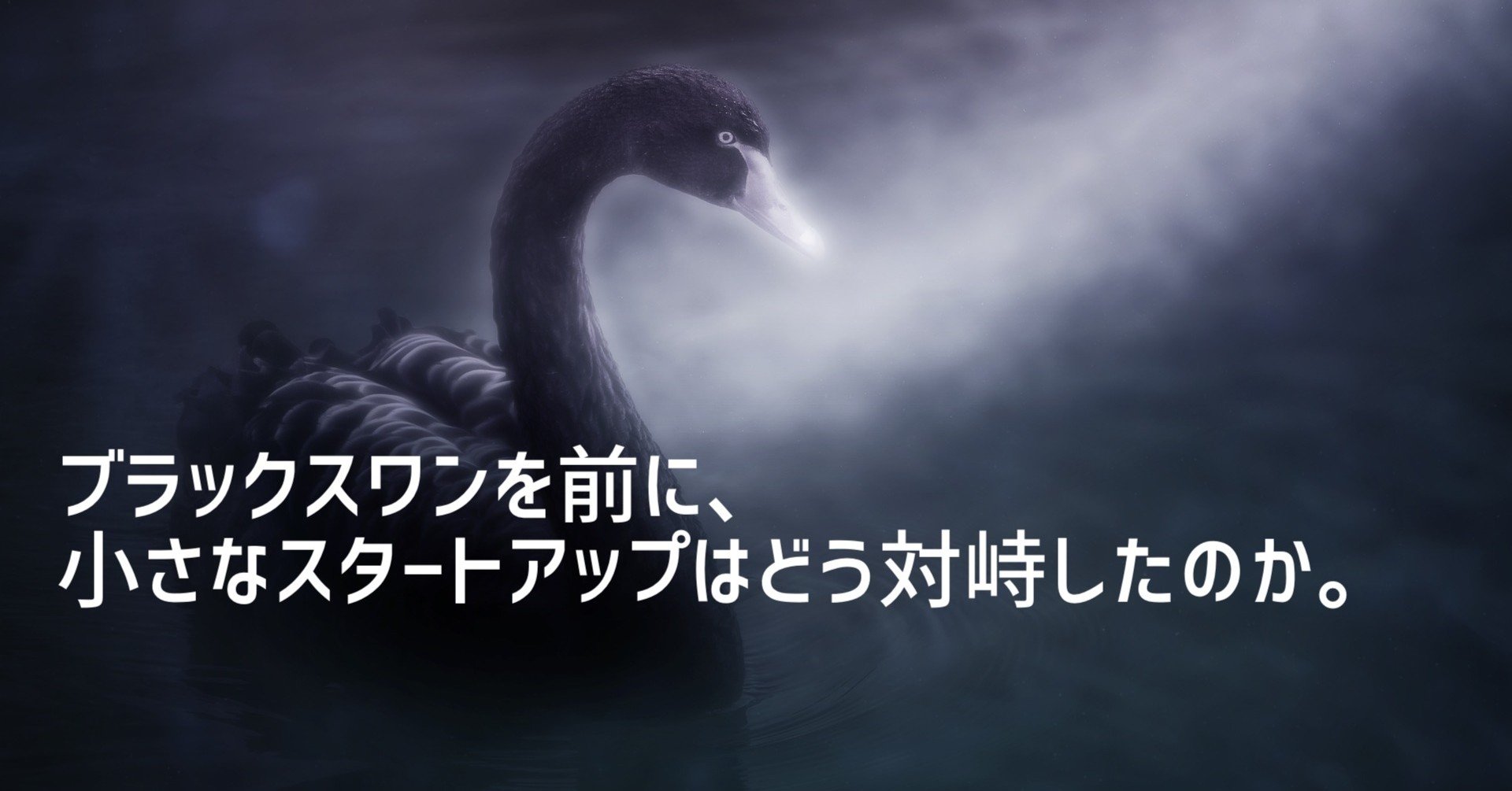 ブラックスワンを前に 小さなスタートアップはどう対峙したのか 渋川駿伍 ポップコーン起業家 Note