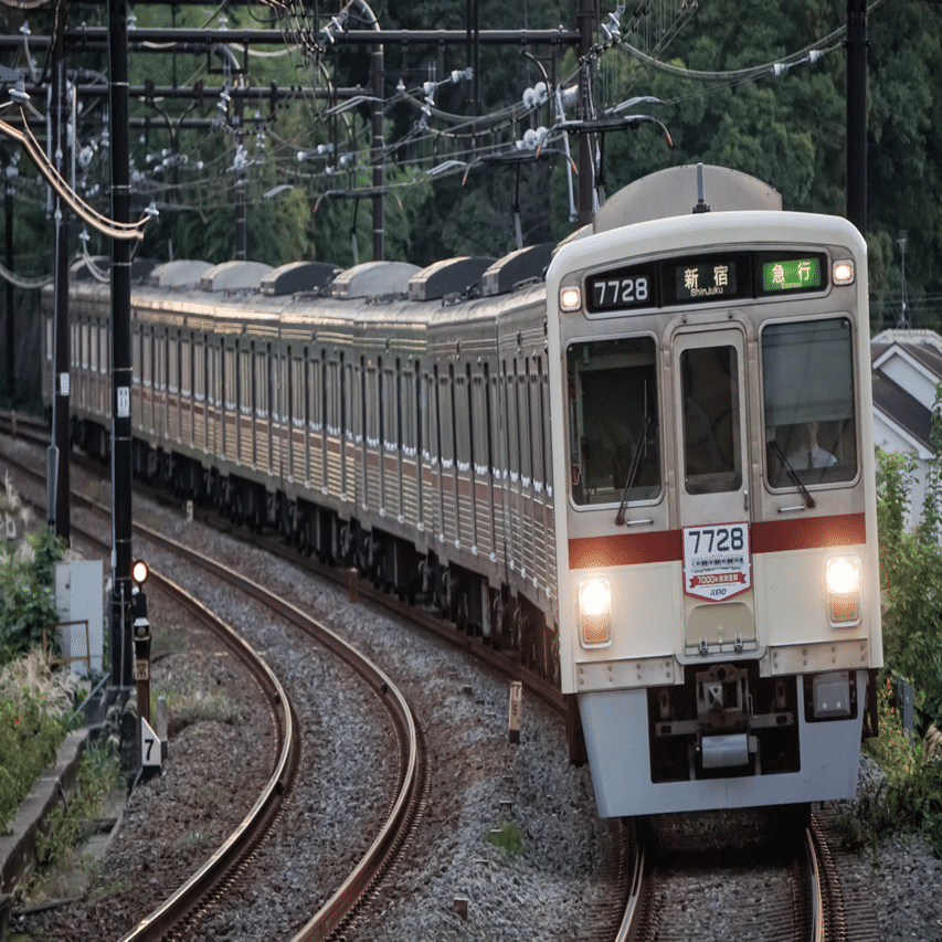 タング京都7周年モデル タング京都7周年モデル