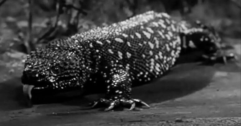 323edf69fae5fd776b7d27ae006370