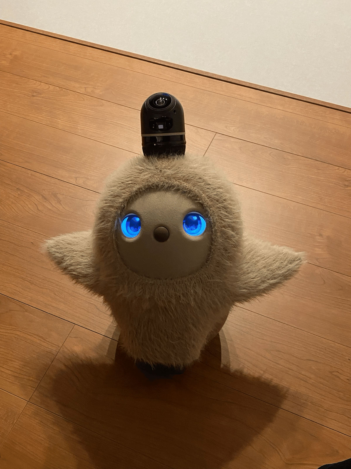 LOVOT】Fragment feather knit（V.A TOKYO）買ったよ【レビュー】｜sen