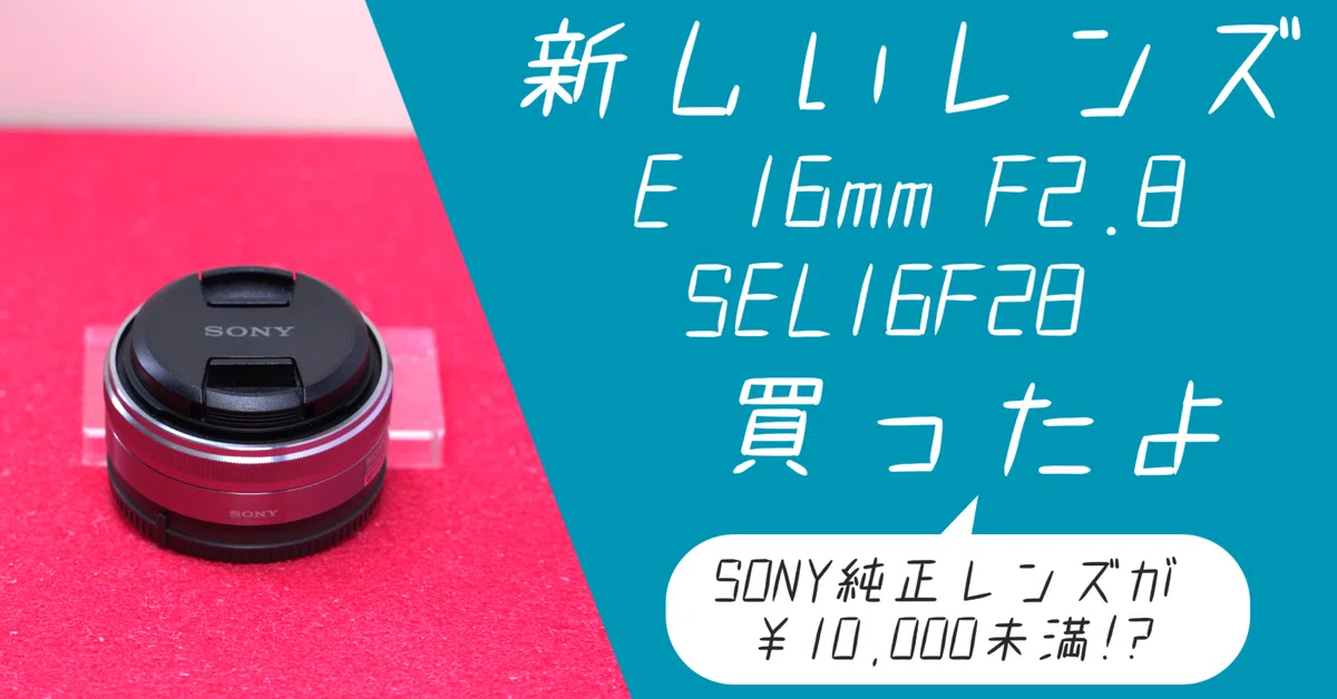 新レンズSONY SEL16F28 E 16mm F2.8を買ったので、カメラをたくさん