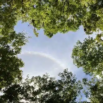 よう パニック障害の歩き方