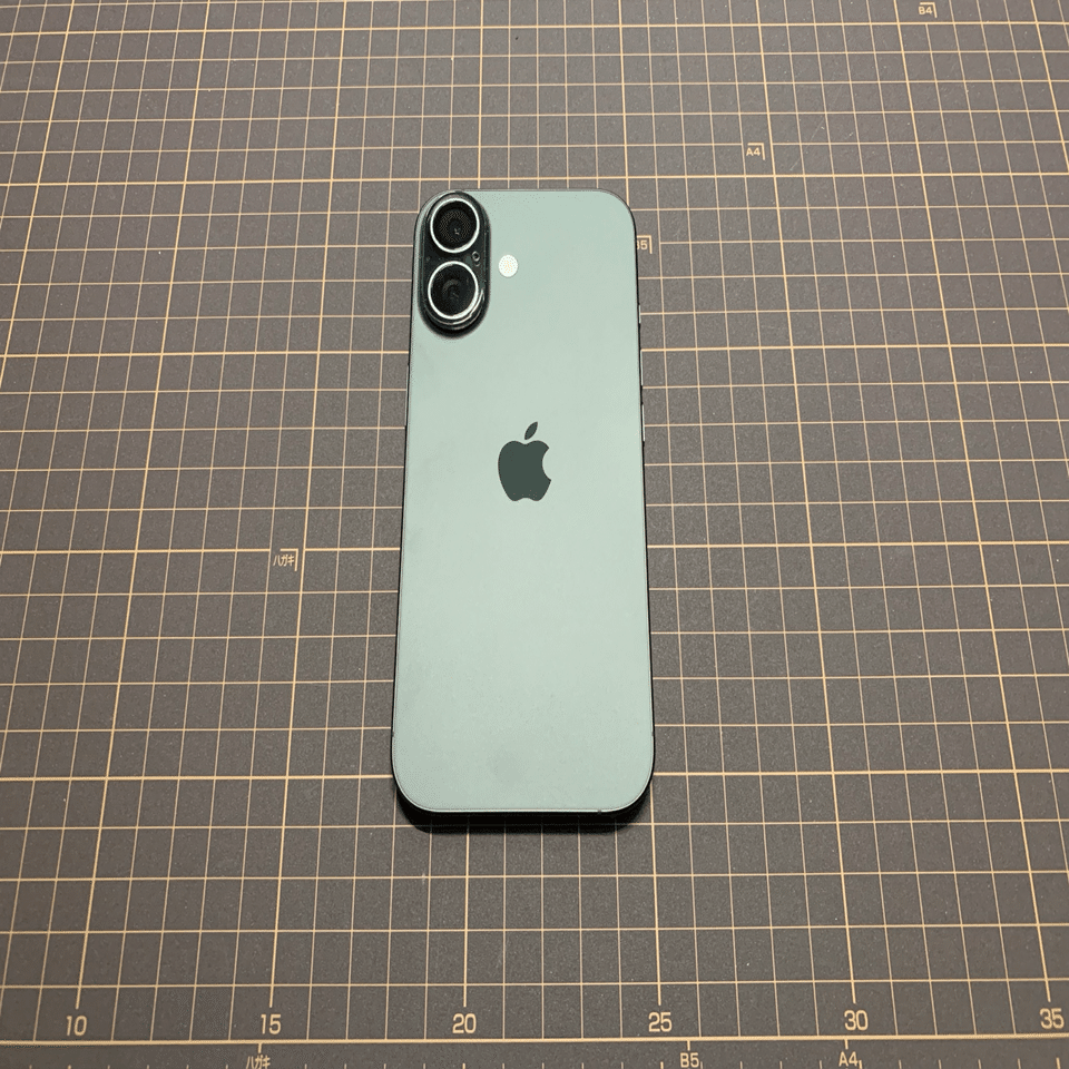 ただいま｜Shenta