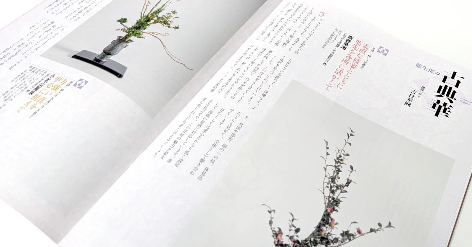 生花＝さざんかの枝の暢達な曲線を捉えて／立華=霧島つつじの力強い枝