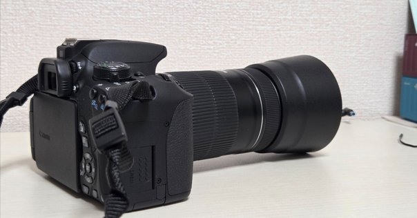 ジャンク品でも魅力的！】NIKON D50レビューとその可能性を探る