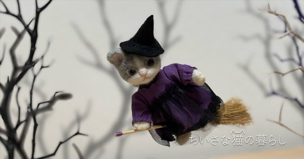 ハロウィンの黒猫⑤ 〜思い出をありがとう〜｜shosuke