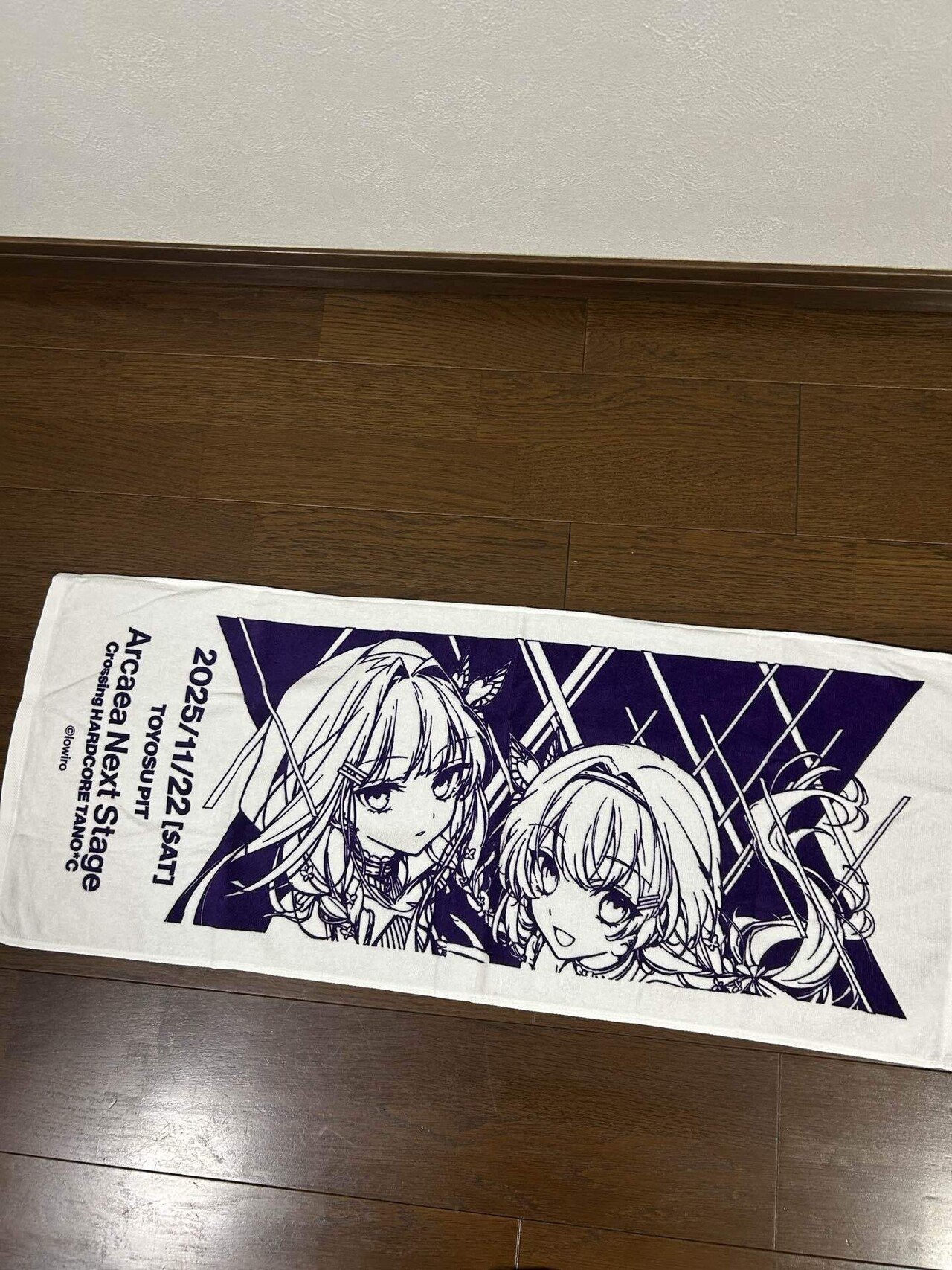 Arcaea Next Stageのスペシャルチケットが届いたぞ｜pp28