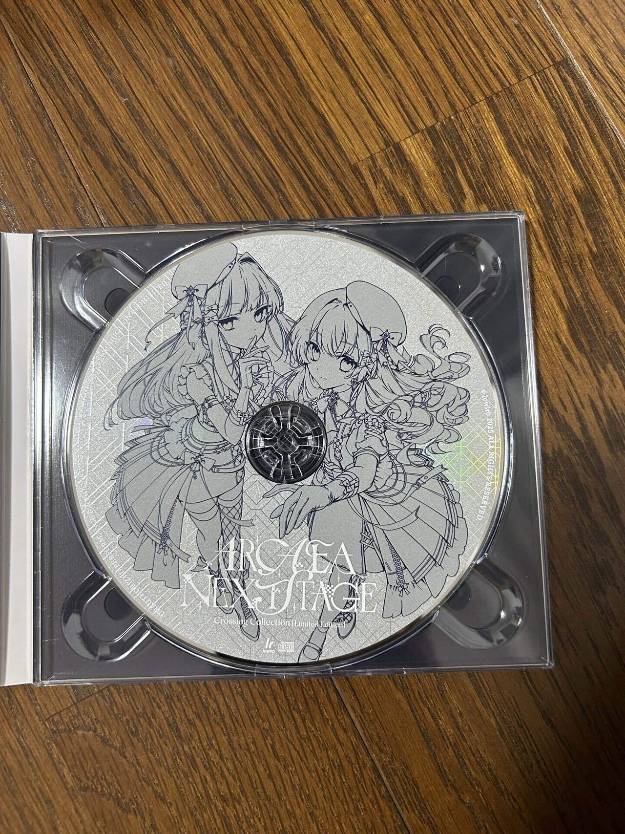 Arcaea Next Stageのスペシャルチケットが届いたぞ｜pp28