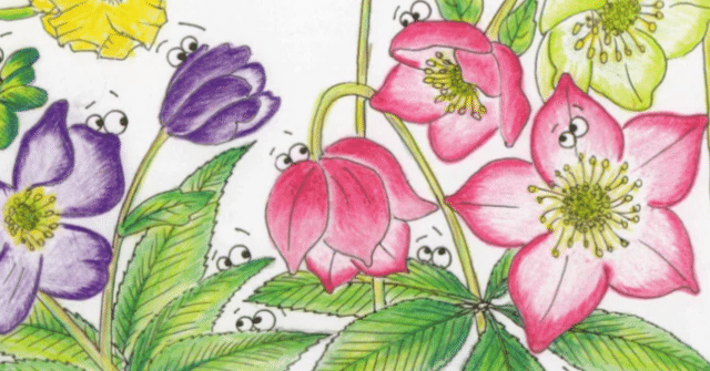 草花👀イラストを描く⑫ クリスマスローズ／オッタチカタバミ｜クリちゃん