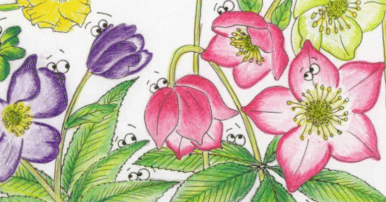 草花👀イラストを描く⑫ クリスマスローズ／オッタチカタバミ｜クリちゃん