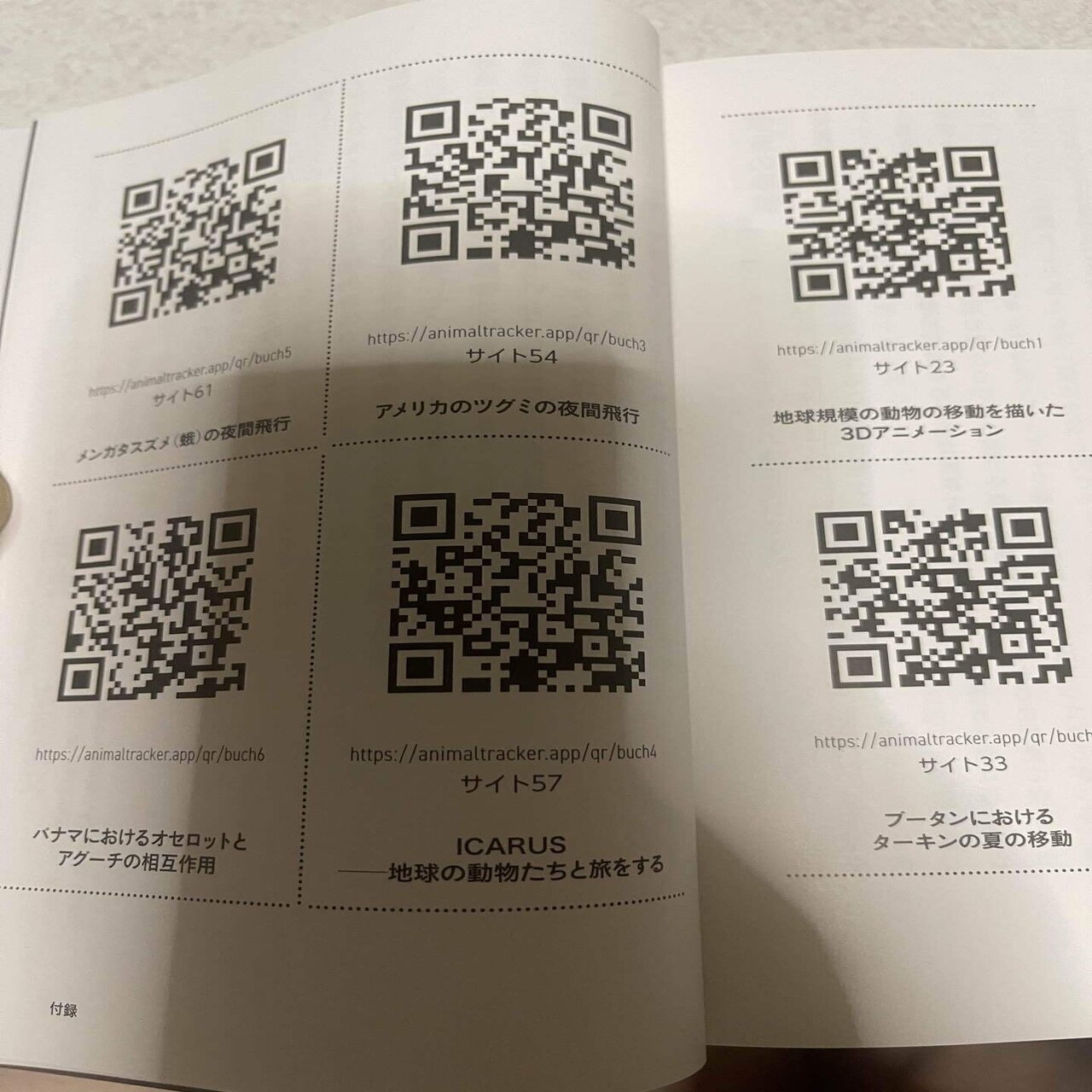 動物たちのインターネット｜鴉野 兄貴