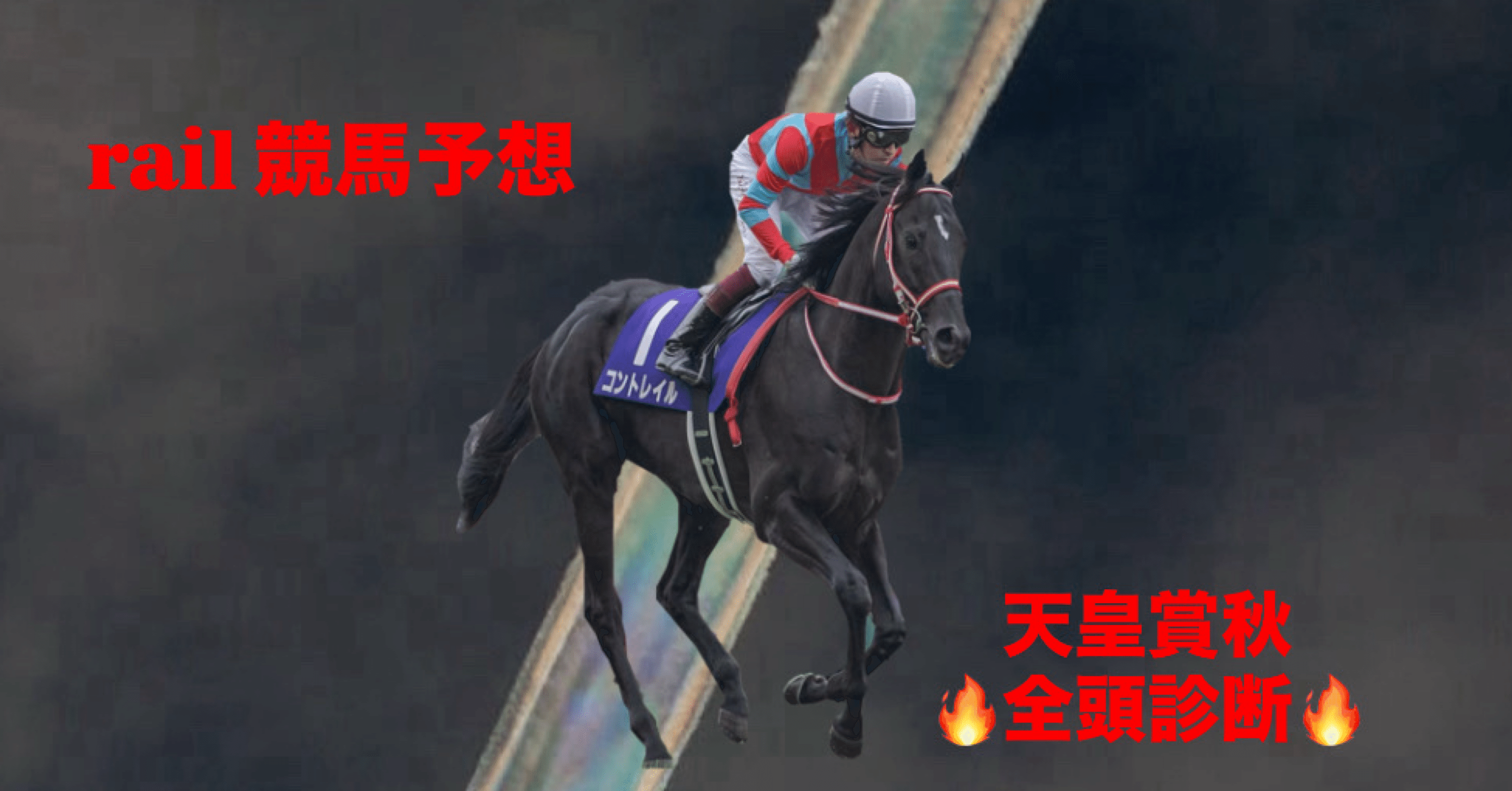 な³☆実際に使用!JRA 競馬バナー天皇賞秋　ポタジェレッドガロン（表裏） な³☆実際に使用!JRA 競馬バナー天皇賞秋 ポタジェレッドガロン（表裏）