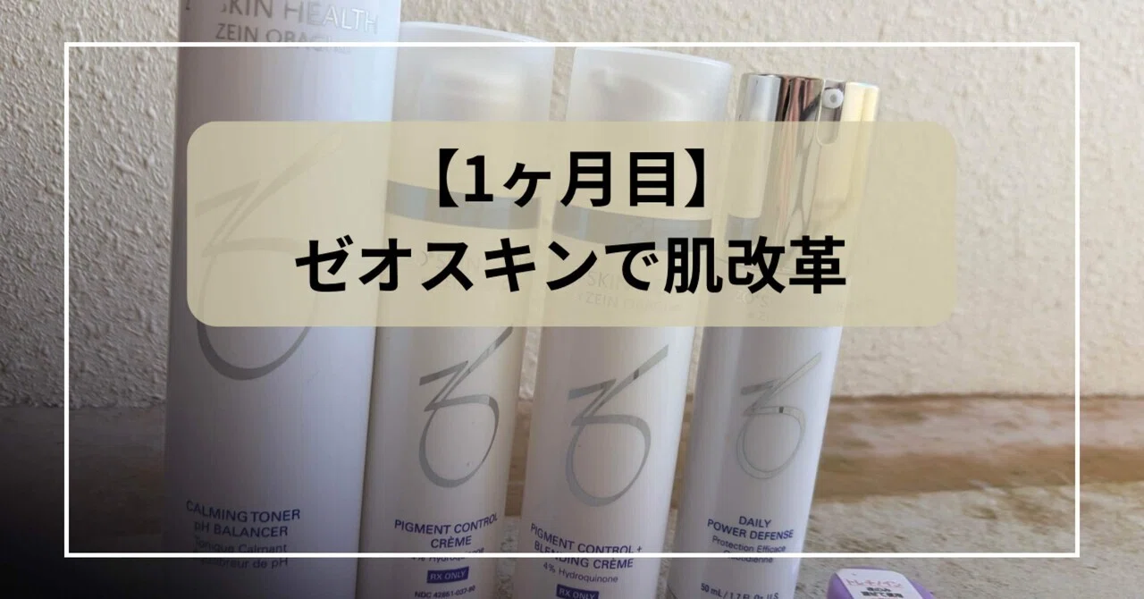 1ヶ月目】ゼオスキンで肌革命｜ぽめら