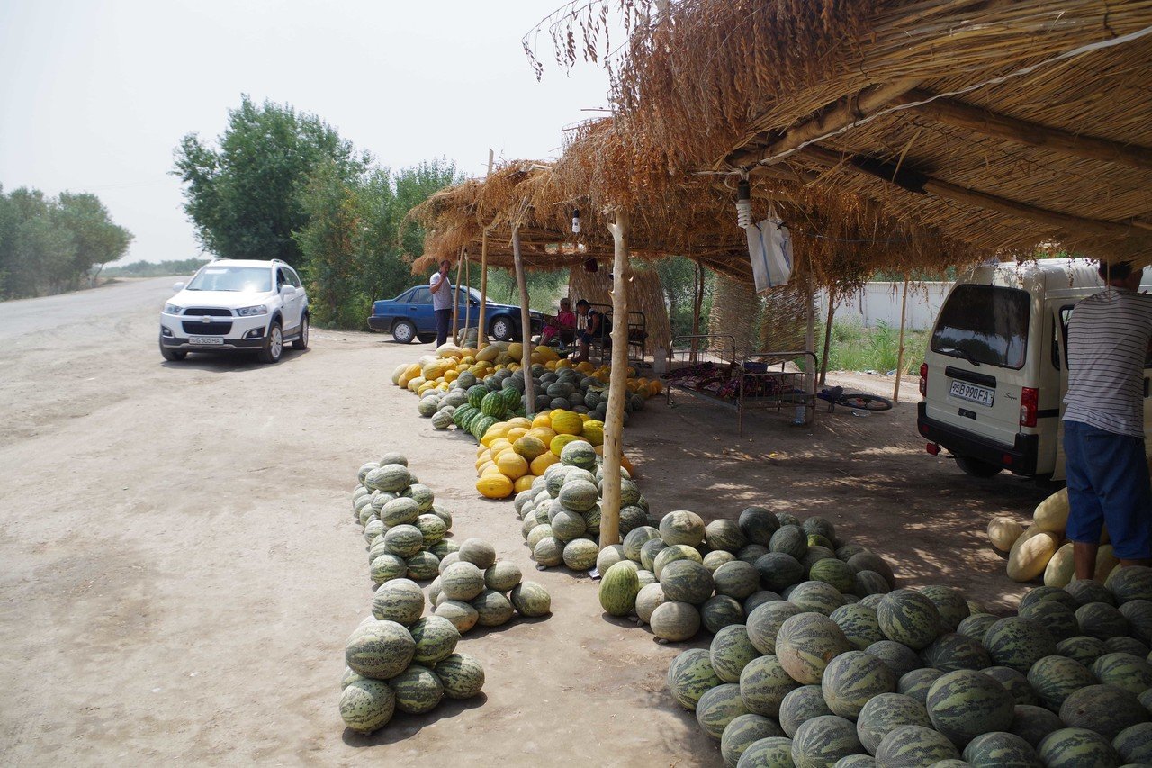 規格外の甘さの果物 ハミウリを知っているか 太田貴之 Takayuki Ota Note 規格外の甘さの果物 ハミウリを知っているか 太田貴之 Takayuki Ota Note