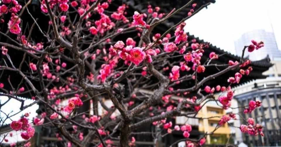 恋愛 千葉 縁結び大社 愛染神社 レイ 女は強いのよ Note