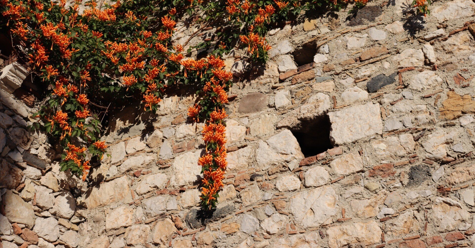 再生の石を踏む ― 南イタリア・シチリア島への旅（前編）｜凪 （なぎ）