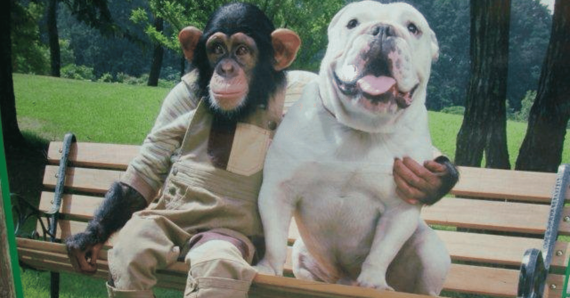 パンくん｜豪遊名シーン