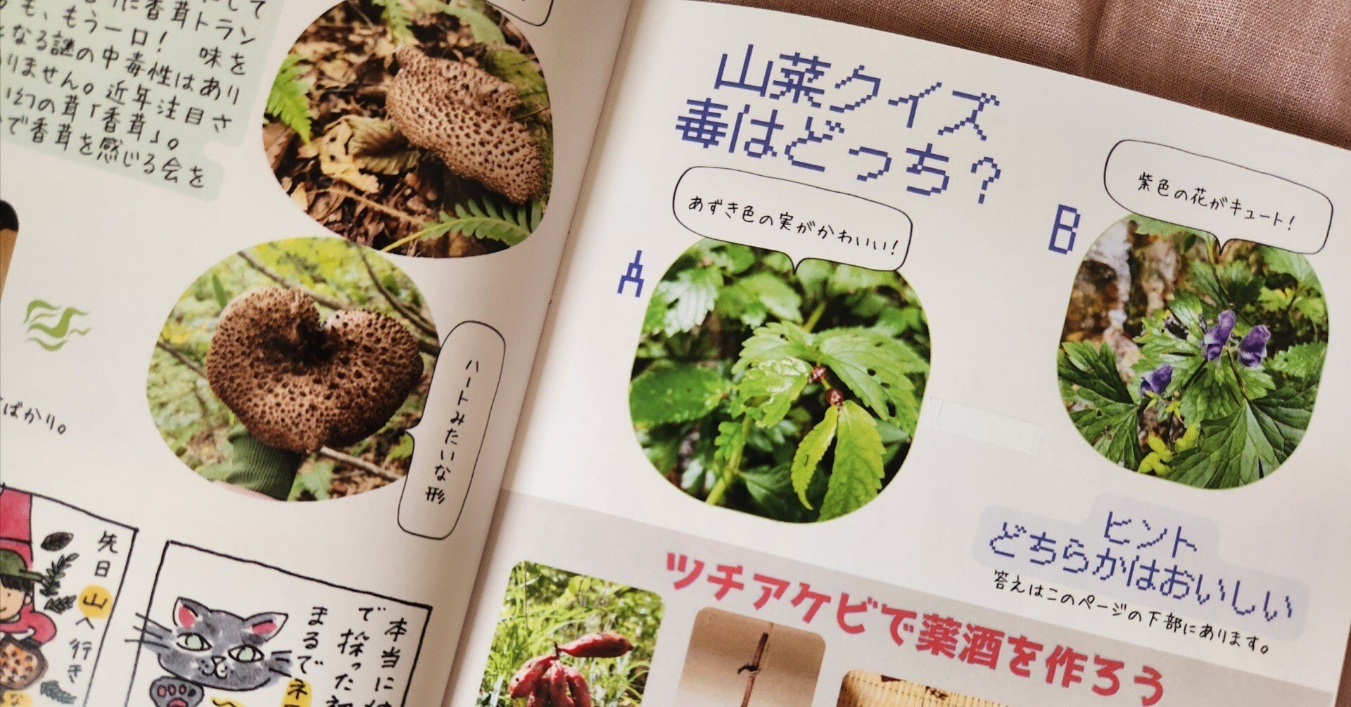 マルシェ　✴︎✴︎17日発送不可✴︎✴︎様 リクエスト 6点 まとめ商品 ZINE】マルシェ出店に魔法をかける｜以子