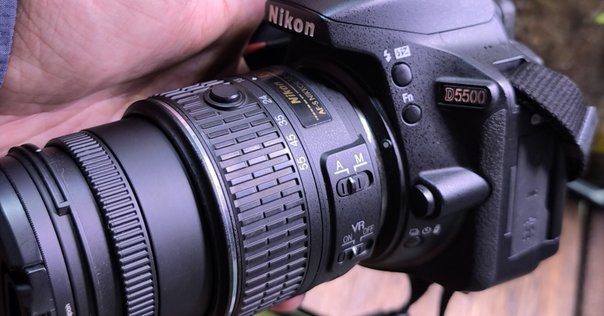 ジャンク品でも魅力的！】NIKON D50レビューとその可能性を探る