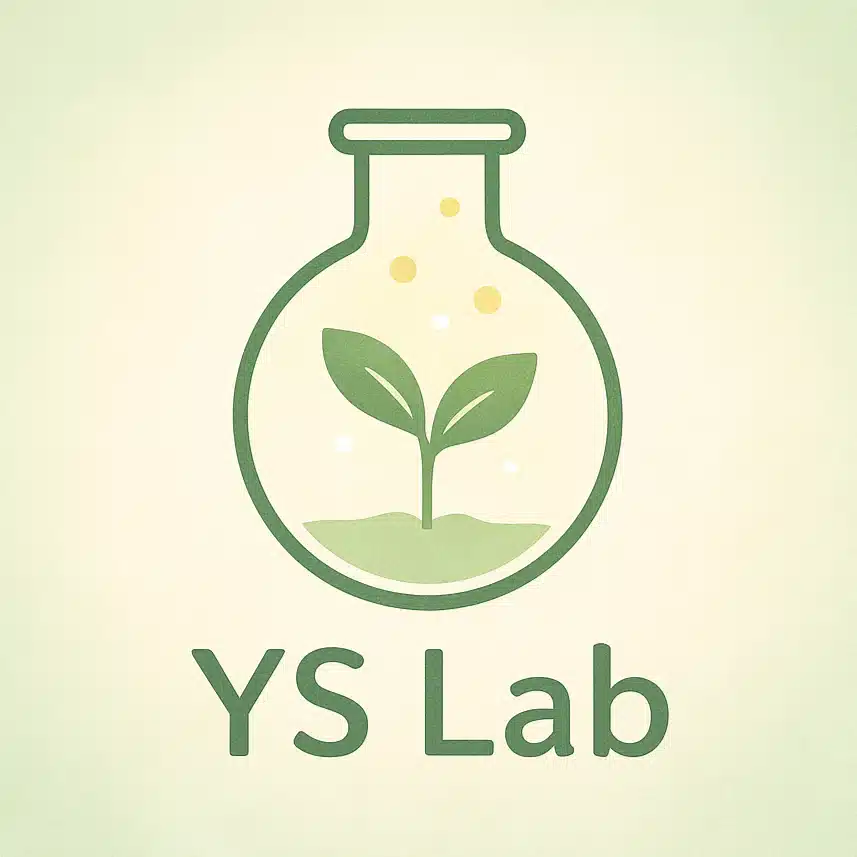 YSラボ