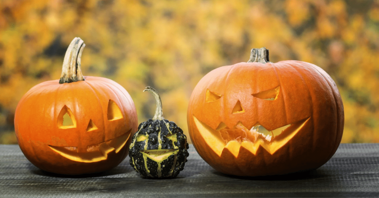 🇩🇪ドイツのカボチャ🎃｜John@ドイツ永住権を取得した大和男児