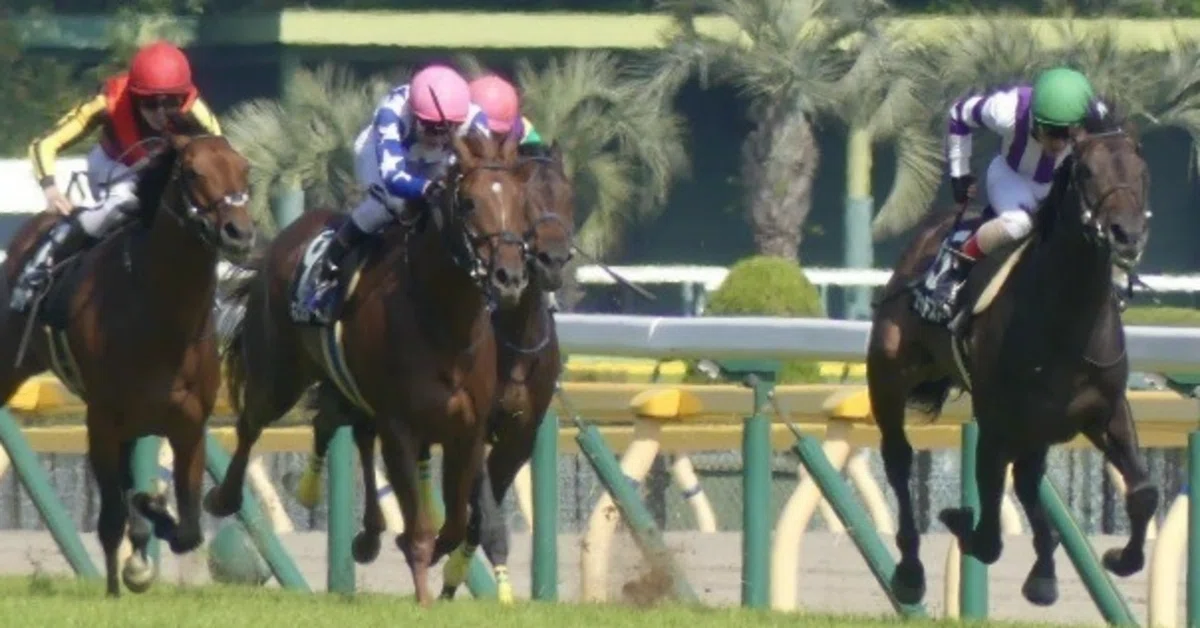 11月1日 東京競馬 全レース指数公開｜妙味馬券ハンターうま吉。
