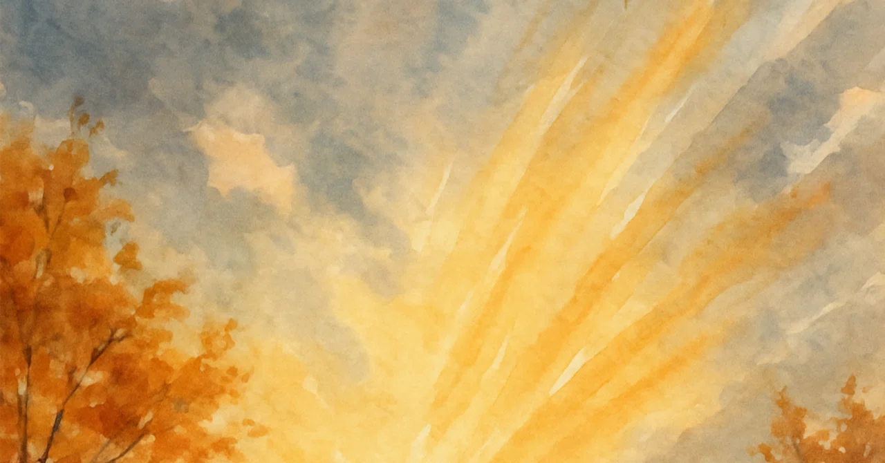 To Start Moving Lightly — Finishing Care for the Autumn Doyo｜KAORi.