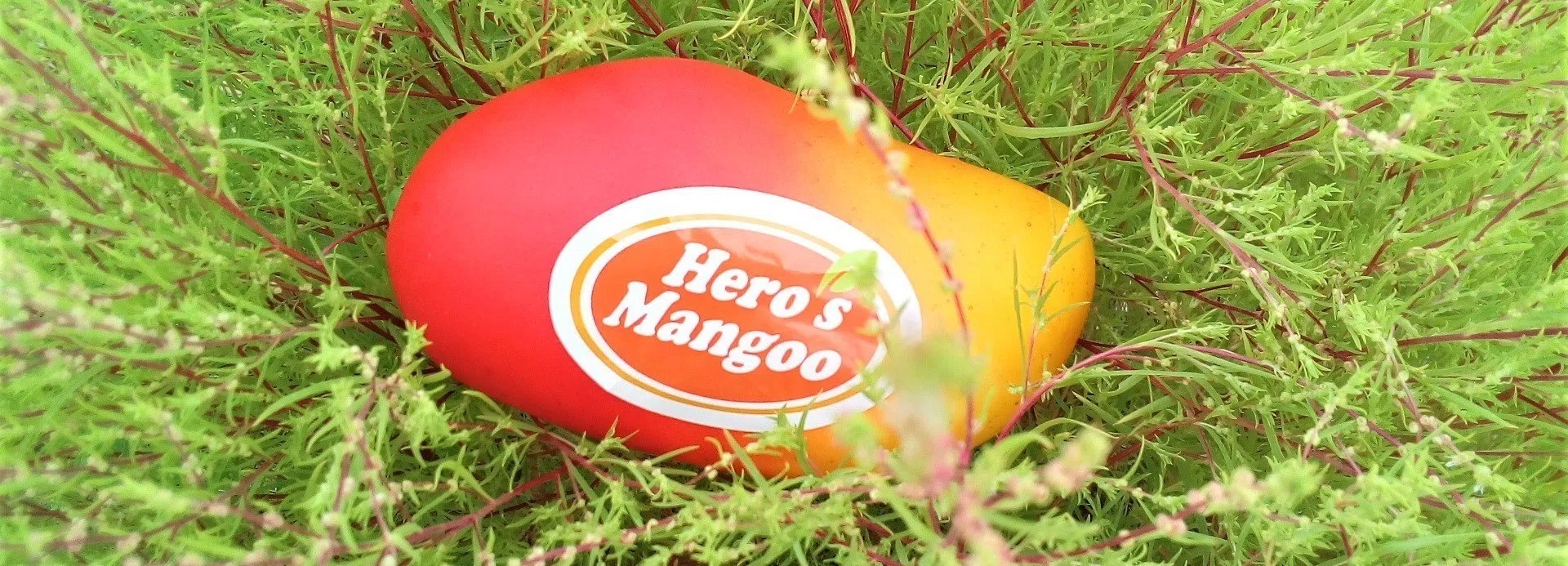 Hero's Mangoo【公式】｜note