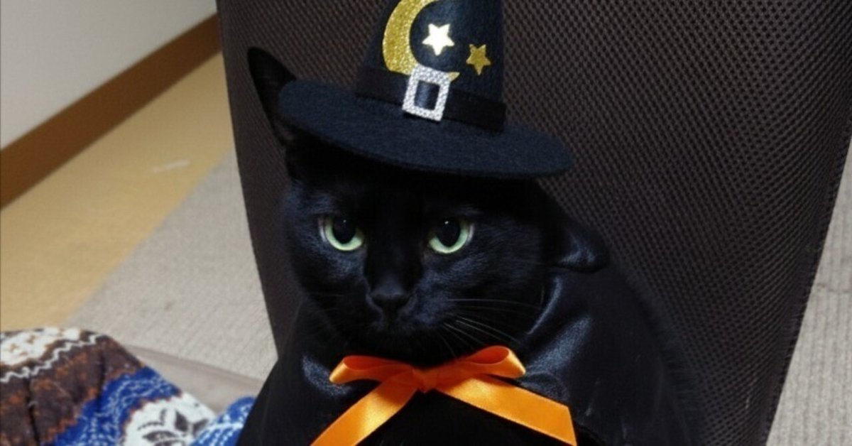 猫のハロウィンコスプレ｜zerozero_x