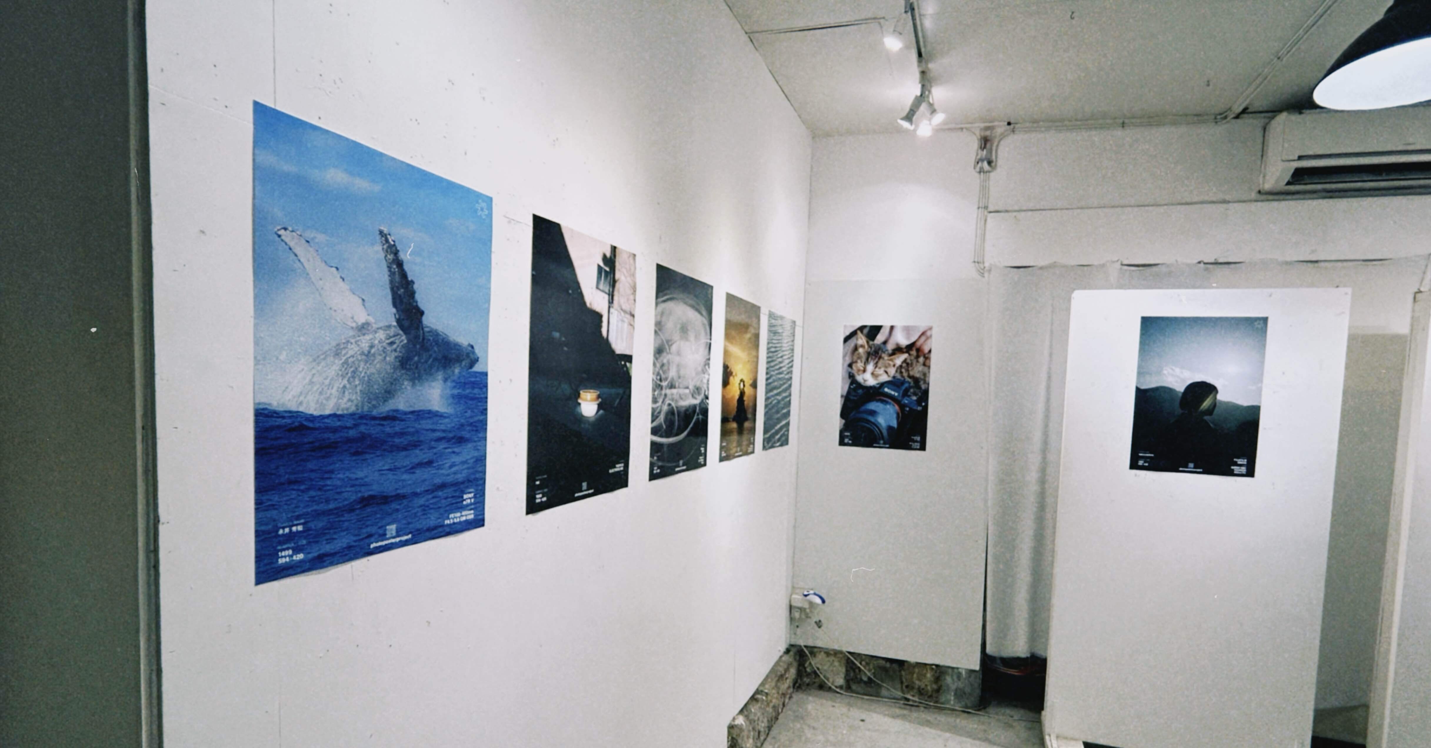 初めてcizucuさんのフォトポスター展に参加させて頂きました｜早川 沙奈