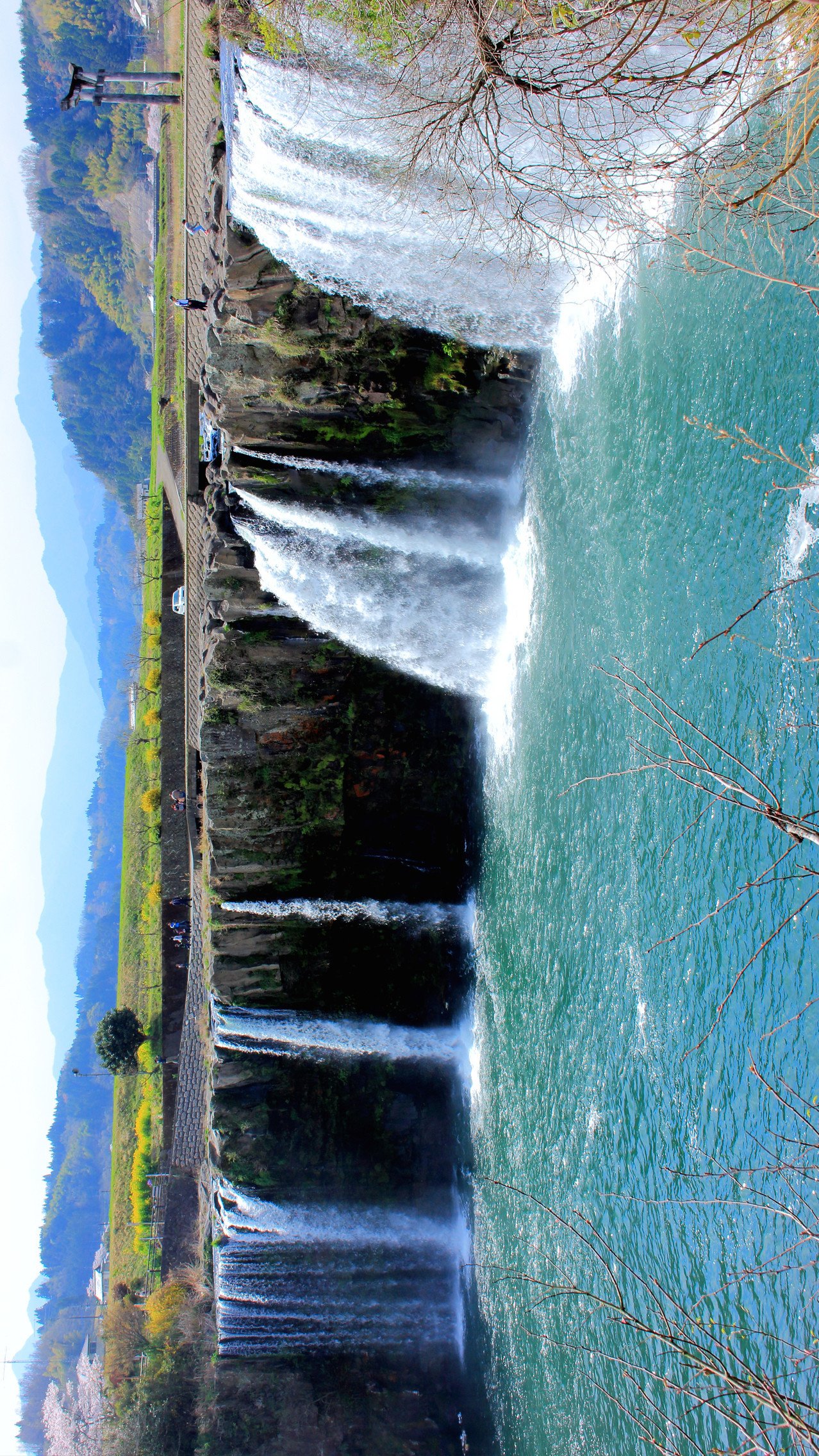 壁紙を作りました Charly Jp Note