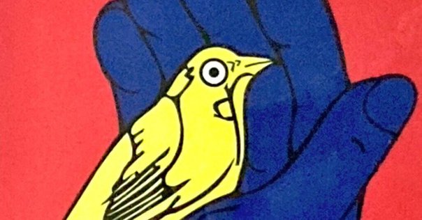 I SHOT ANDY WARHOL / アンディ・ウォーホルを撃った女 DVD Amazon.co