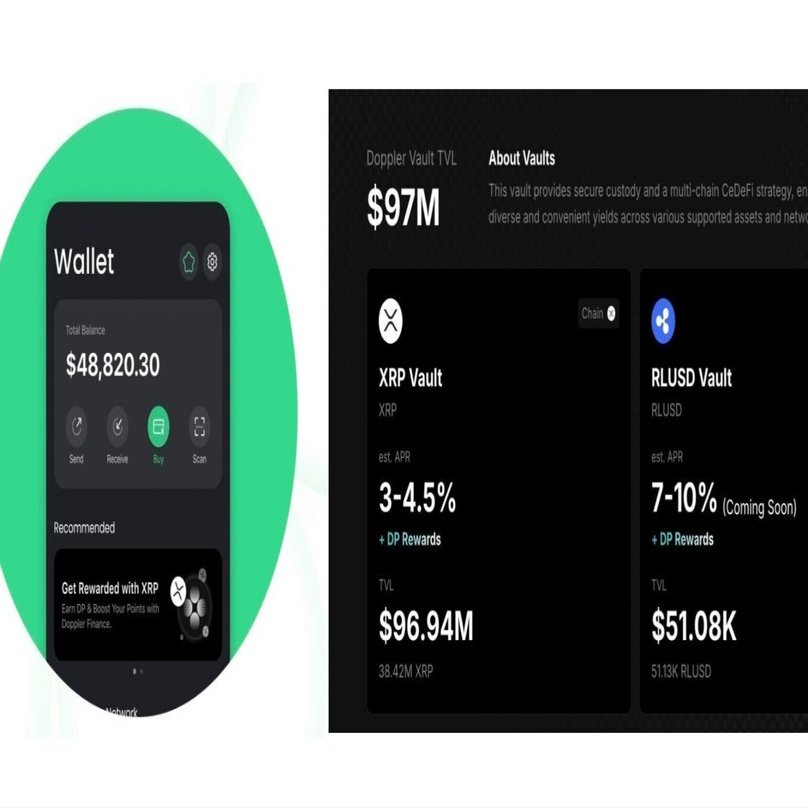 完全ガイド】日本の取引所でXRPを買って「Doppler Finance」で運用する方法（Girin Wallet対応）｜0xCryptoMoneky