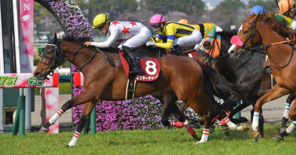 阪神11rサンケイスポーツ杯阪神牝馬ステークス G 予想 競馬競艇予想fy Note