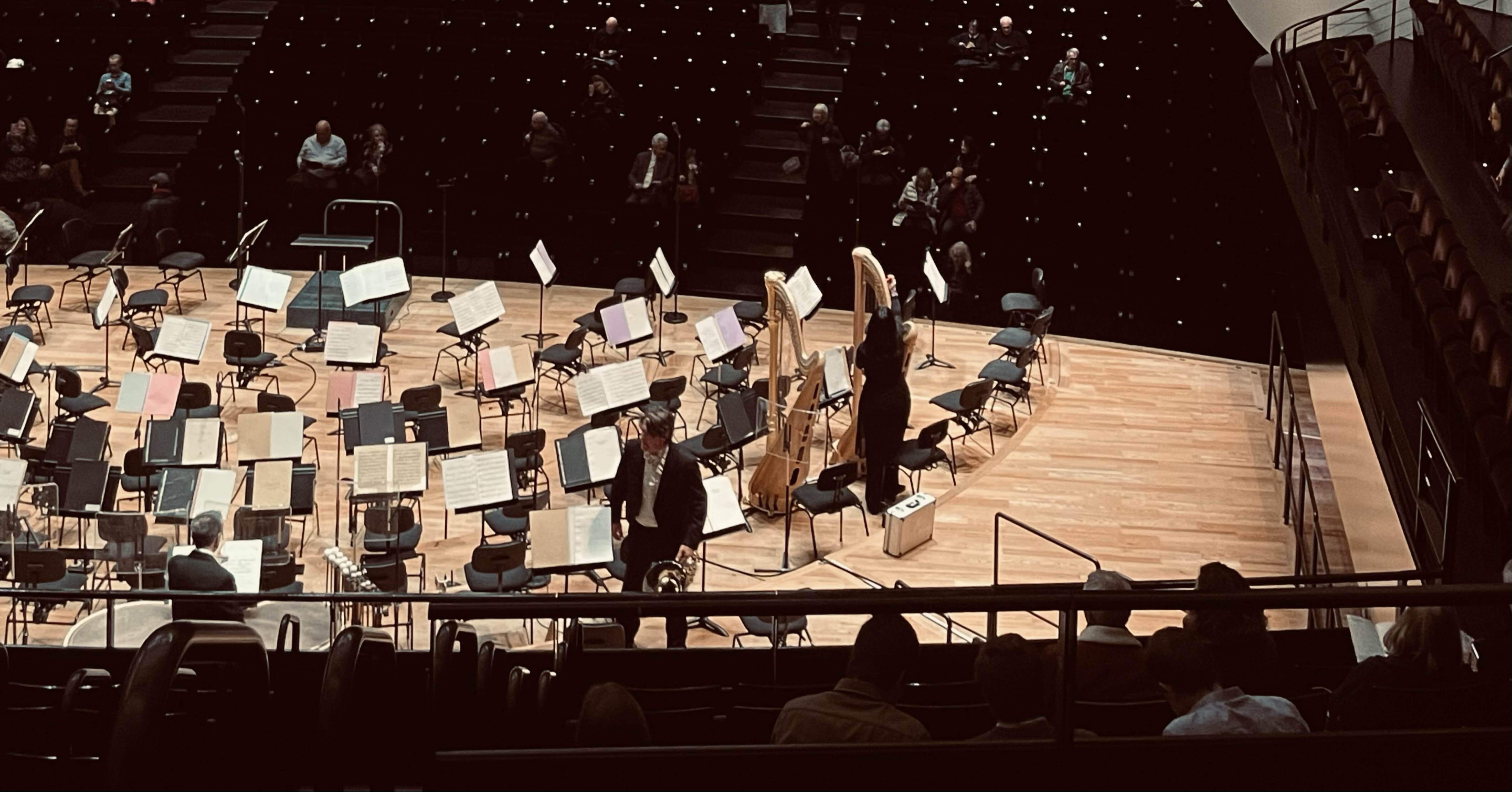 フランス国立管弦楽団コンサート｜Hisae Sawazaki