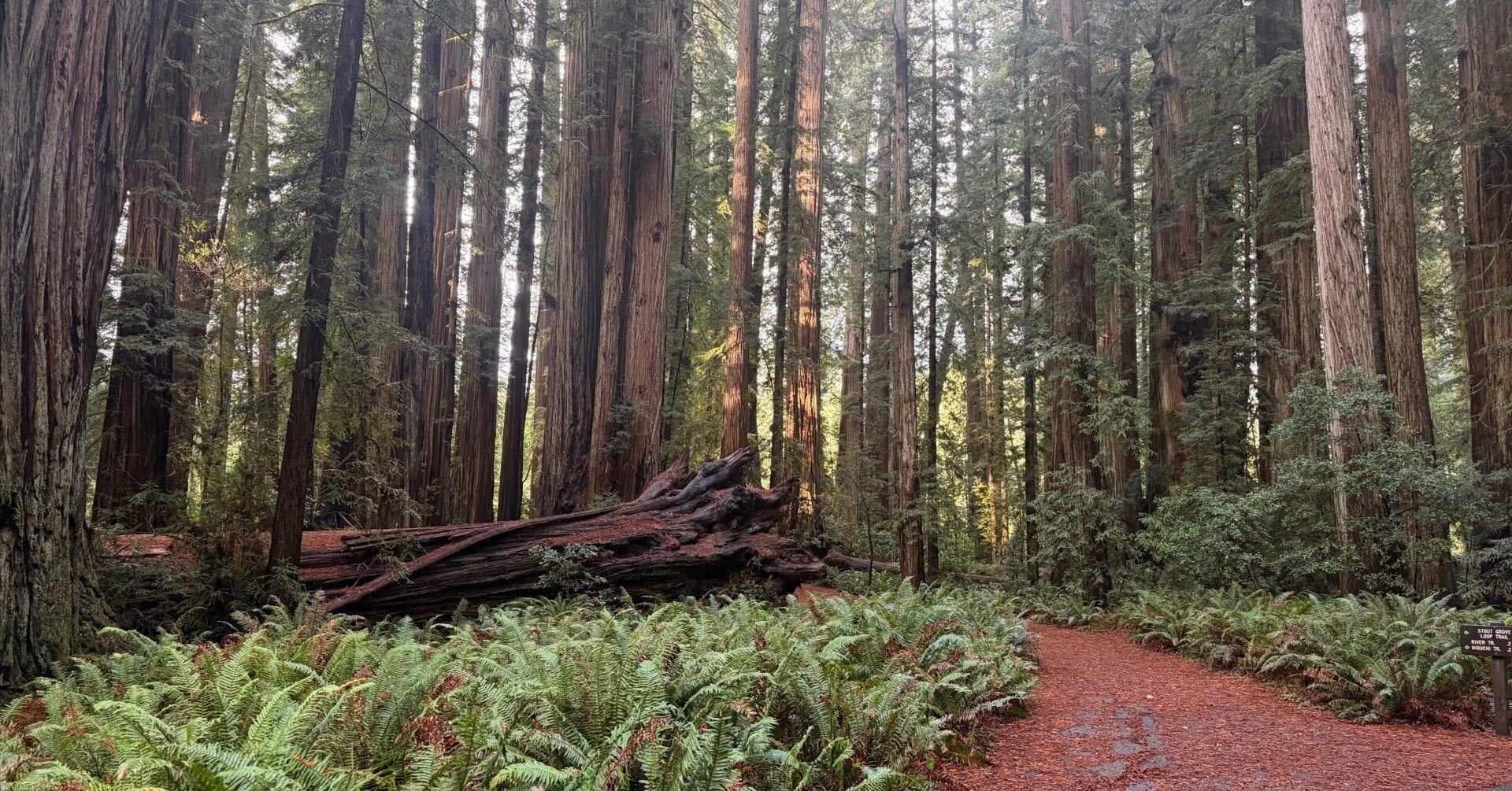 21197b6ed9d2d0fac533754f815fe4