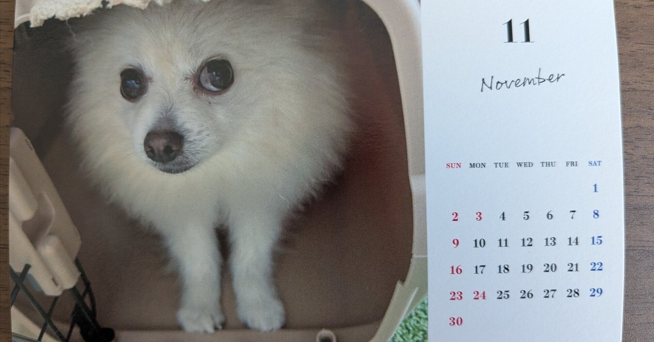 「2025年11月カレンダー📅」のサムネイル