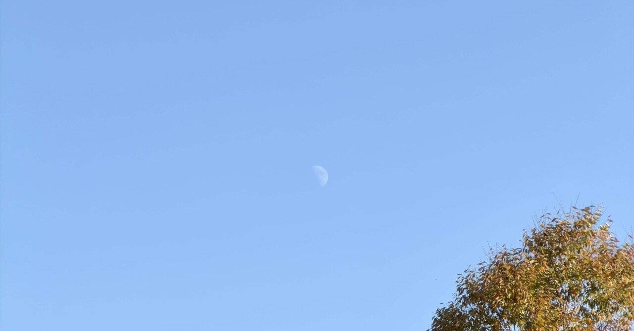 弓道012 高木 棐 ｜モリンゲン