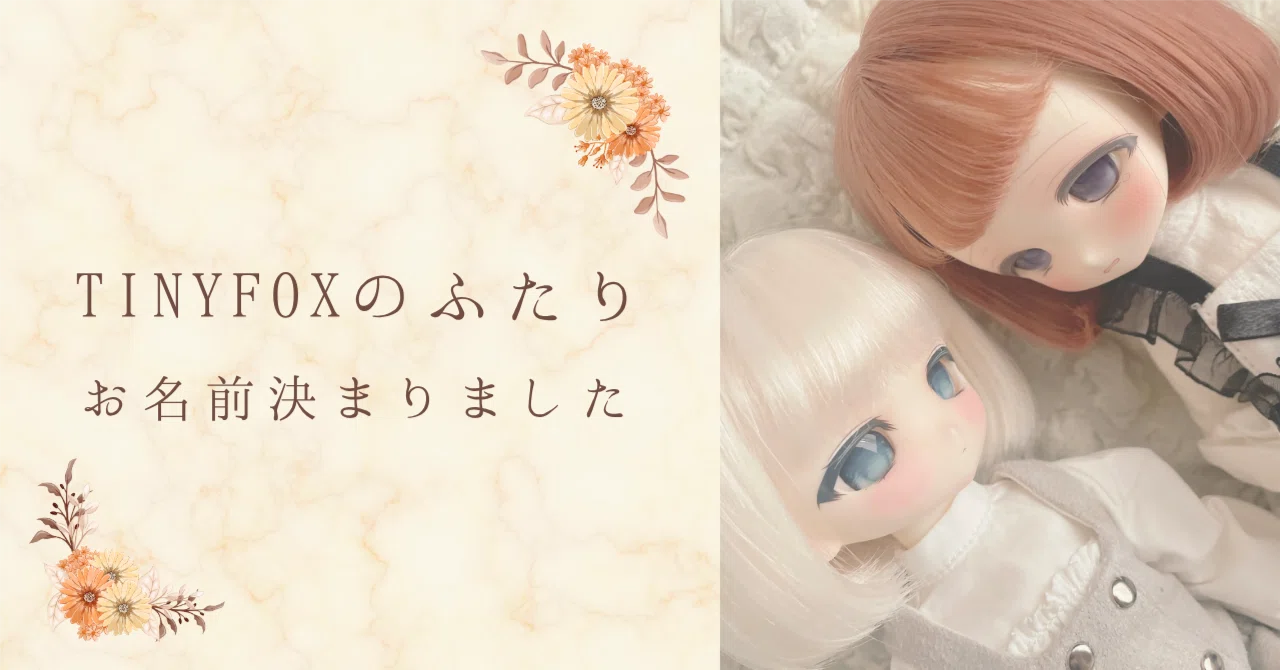 写真】最近お迎えしたTinyFoxをとにかく見せびらかす記事｜べいだー
