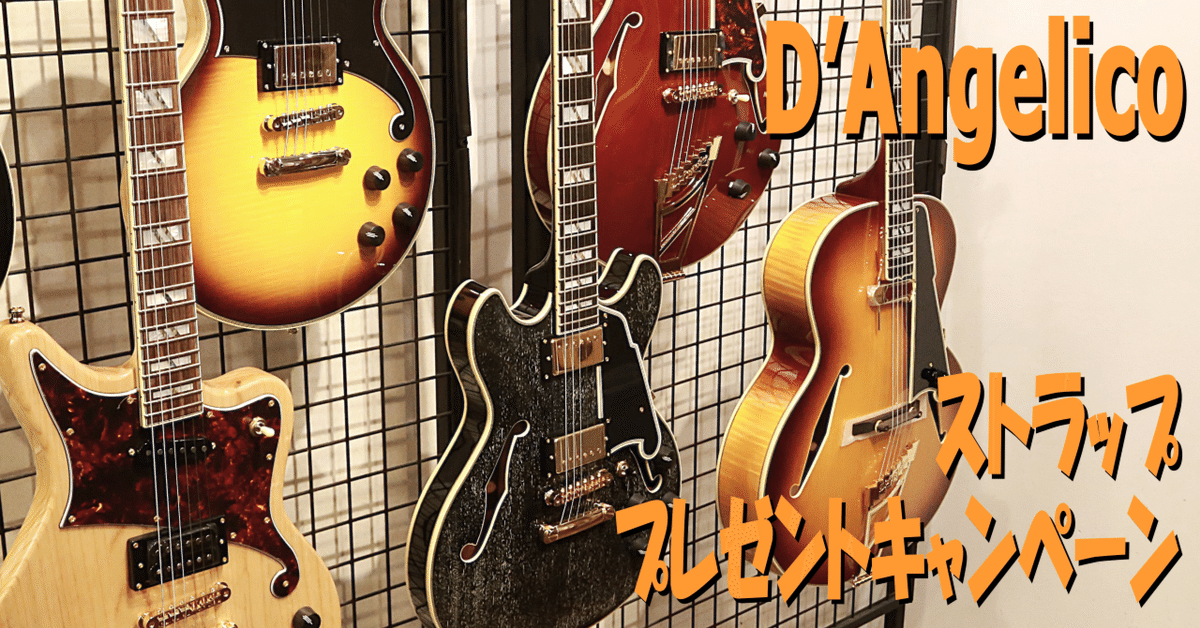 DX/EXシリーズをお買い上げの方にイタリア製のプレミアム・レザー