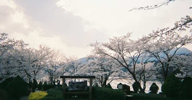 #写ルンです で「たろさんぽ」　＃ノートの切れはし　＃恵那の桜🌸