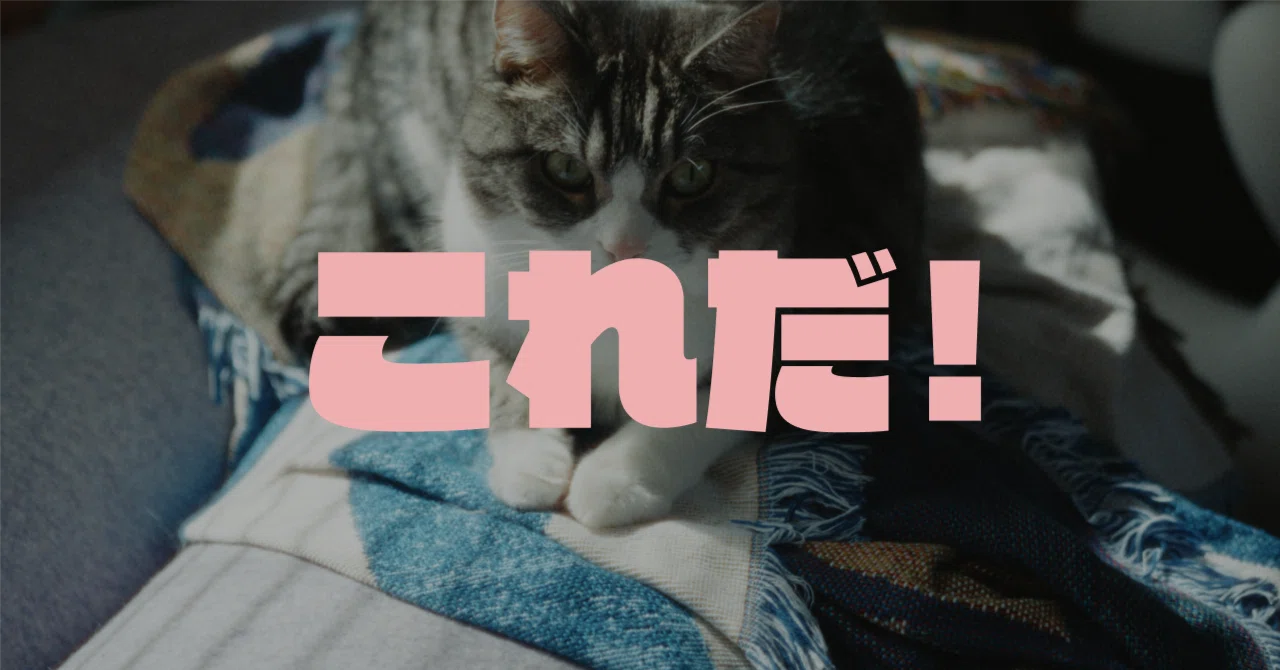 見出し画像