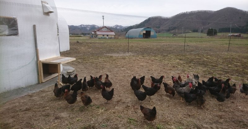 北海道滝上農場【放牧たまごの学び】