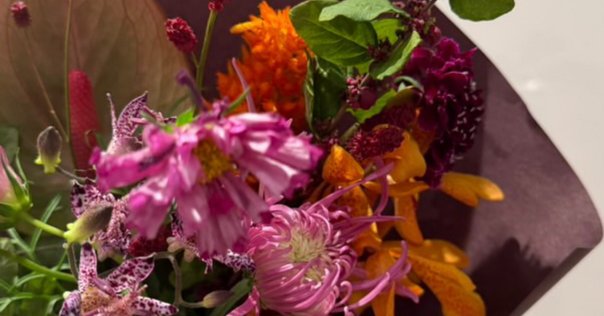 弓道関連書2冊セット◇「弓道の理念と〜」宇野要三郎／「手の内・離れ