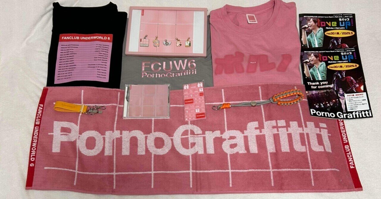 101）ポルノグラフィティ ・「FCUW6」in Zepp大阪｜カモミール19