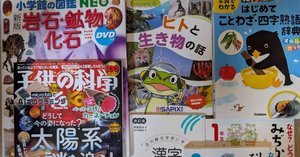 年少から小2の冬までの学習：予習シリーズに入るまでの取り組み｜キノ子