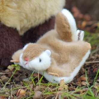 作家ばんばぱえりあ様作　エゾタヌキぬいぐるみ ぬいぐるみの話《えぞたぬき編》｜ばんば ぱえりあ